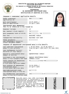 Điều kiện xin visa online Nga